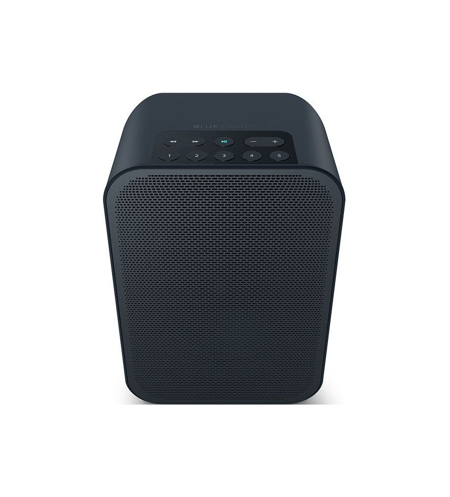 Bluesound Pulse Flex 2i Wireless Multi-Room Music Streaming Speaker - Black