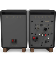 Onkyo GX-10DB Powered Monitors - Black