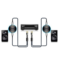 SVS SoundPath Ultra Bi-Wire Speaker Cable - 3.05 metre Pair