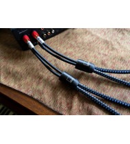 SVS SoundPath Ultra Bi-Wire Speaker Cable - 3.05 metre Pair