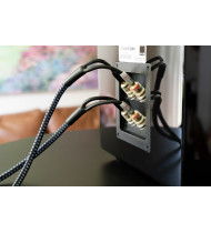 SVS SoundPath Ultra Bi-Wire...