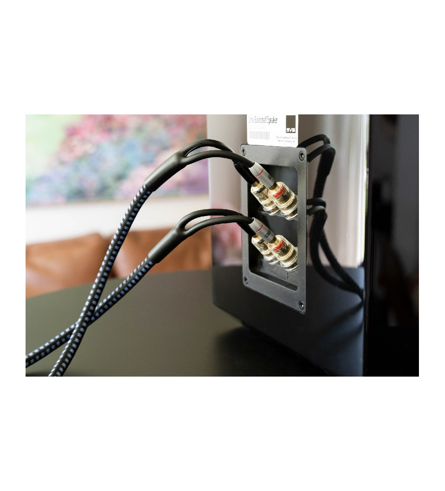 SVS SoundPath Ultra Bi-Wire Speaker Cable - 6.10 metre Single