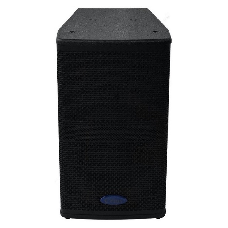 Crius Technologies LS-10 Passive Speaker with Horn - Black